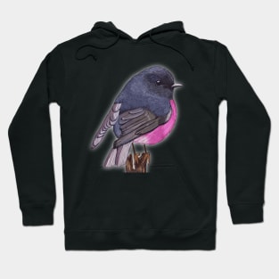 Robin bird pink Hoodie